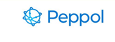 PEPPOL泛欧公共采购系统