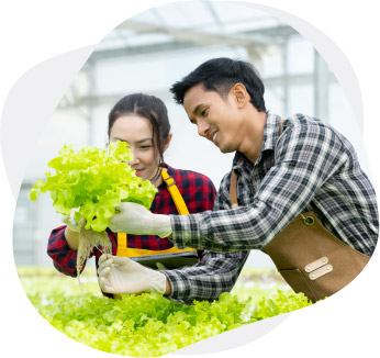 Ministère des industries primaires (MPI) | Études de cas | B2BE Resources | Solutions de gestion de la chaîne d'approvisionnement