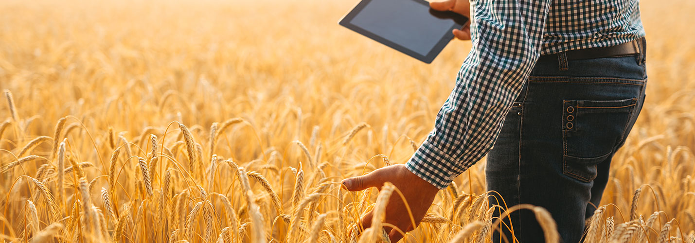 Irrigear Stores | Études de cas | Ressources B2BE | Solutions de gestion de la chaîne d'approvisionnement