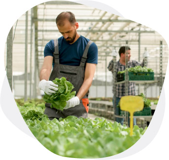 Irrigear Stores | Études de cas | Ressources B2BE | Solutions de gestion de la chaîne d'approvisionnement