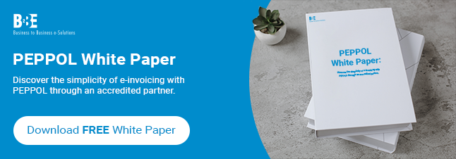 B2BE PEPPOL White Paper | PEPPOL Access Point